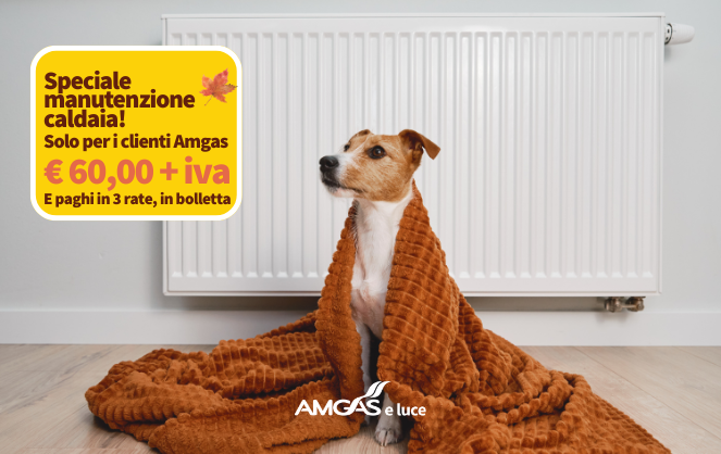 Solo per i clienti Amgas € 60,00 + iva E paghi in 3 rate, in bolletta Speciale manutenzione caldaia!